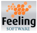 Feeling Software